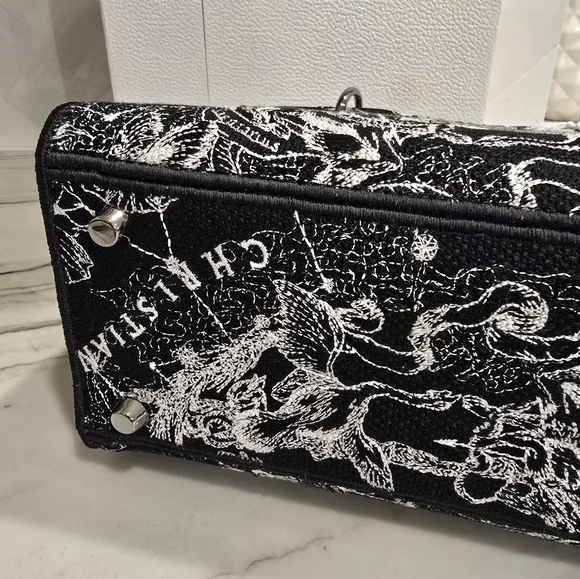 🔥RARE🔥 Dior Medium Lady Dior Bag - Picture 9 of 15